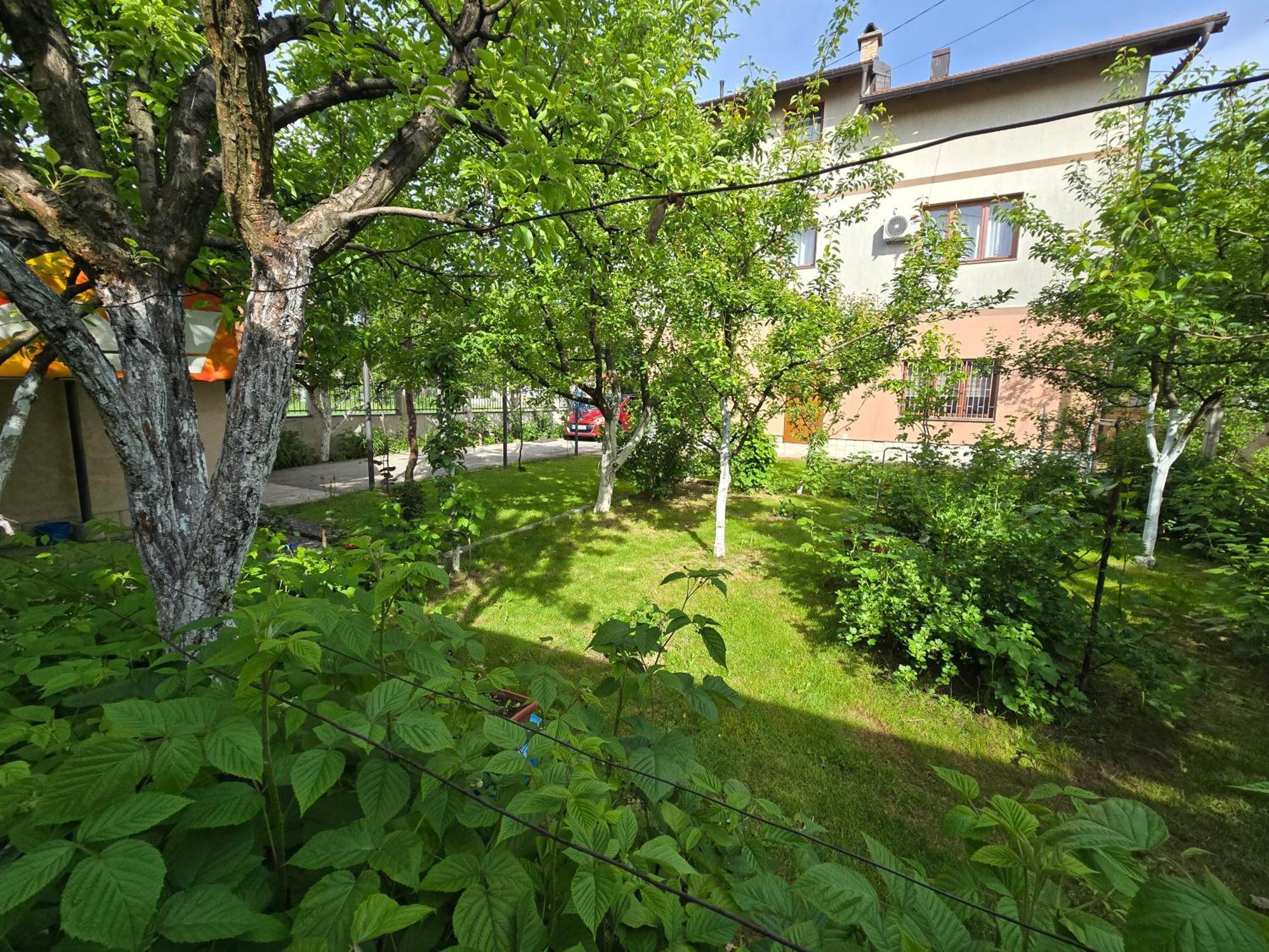 Nedim - Free Parking